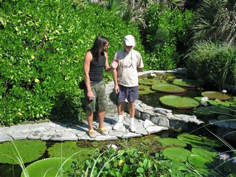 Carlos Magdalena en el reino de las plantas - EL BLOG DE LA TABLA