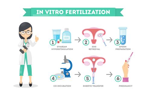 A Guide To Ivf Treatment Newlife Fertility Centre