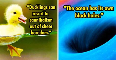 21 Disturbing Facts That Might Freak You Out Eww Gallery Ebaums World