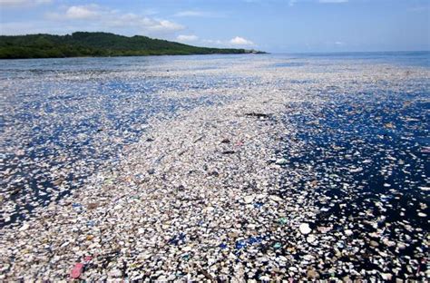 Isla De Basura Descubrimiento Ubicaci N Soluciones Y M S