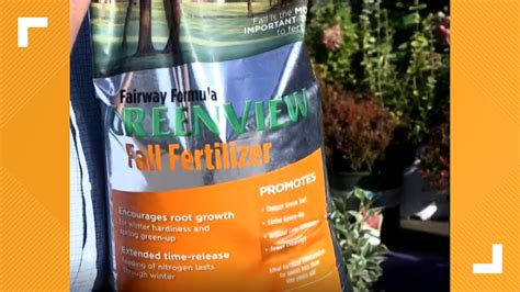 Why Fall Is The Best Time To Fertilize Your Lawn