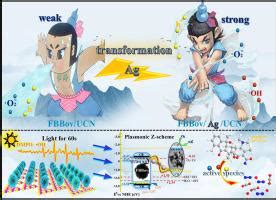 Hierarchical Defect Rich Flower Like BiOBr Ag Nanoparticles Ultrathin G