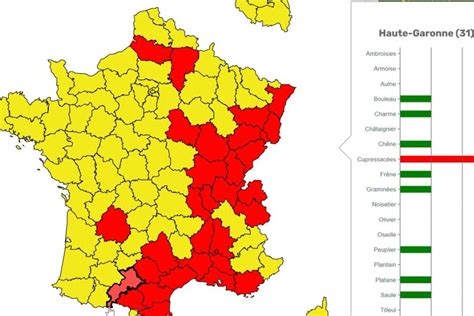 Allergie Aux Pollens Toulouse Et La Haute Garonne En Alerte Rouge