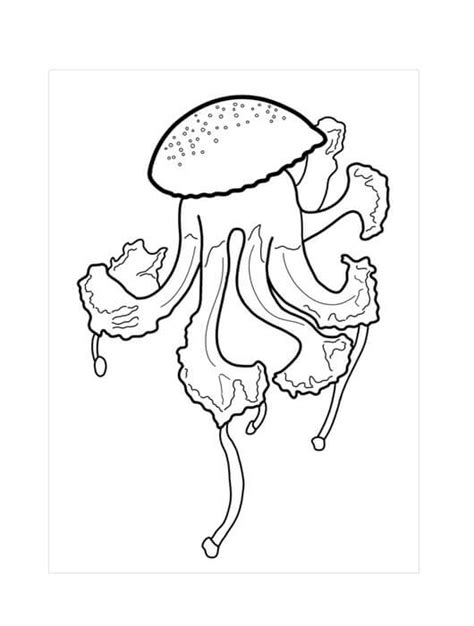 Dibujos De Medusas Para Colorear E Imprimir ColoringOnly