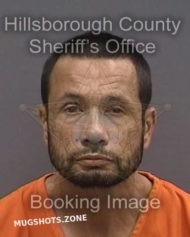 Mcgovern Daniel Hillsborough County Mugshots Zone