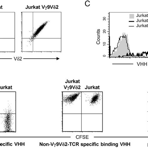 Phage Display And Yeast Display Of Nanobodies A Expression Of Nbs
