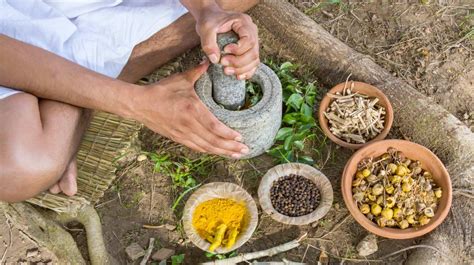 The Best 5 Ayurveda Herbs For Acne That Really Work Ayurvedic Herbs