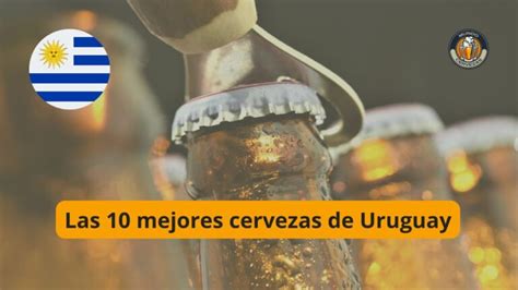 Las Mejores Cervezas De Espa A Cu L Es Tu Preferida