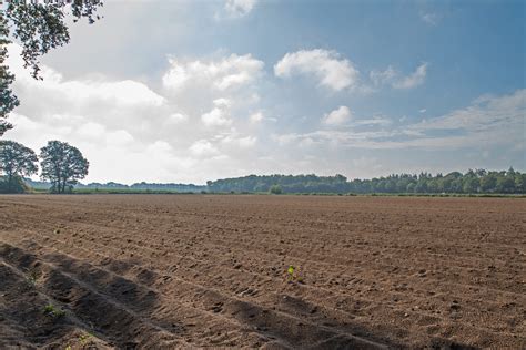 Gezonde Bodem Meten Is Weten NormecFoodcare