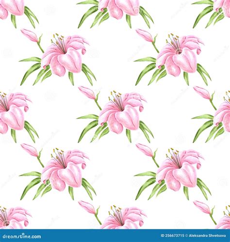 Handdrawn Lily Flowers Seamless Pattern Watercolor Pink Lily On The White Background Stock