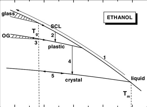 Phase Diagram Of Water And Ethanol Stockard Ideas