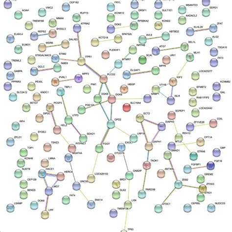 Protein Interaction Map Of Genes Affected By Variants −log10p 5