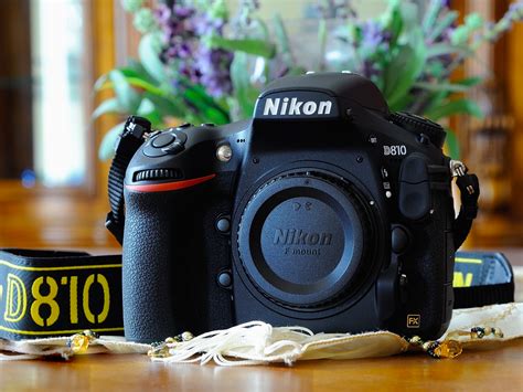 dslr cameras   buy business insider