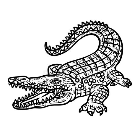 Crocodile Animal Coloring Page For Adult Stock Vector Illustration Of