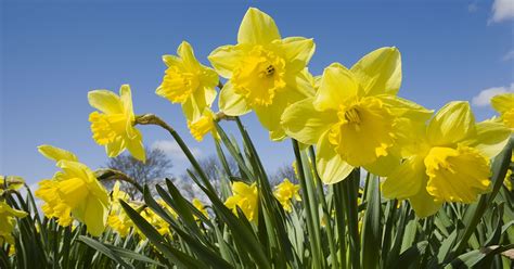 Easter is a Time for New Beginnings
