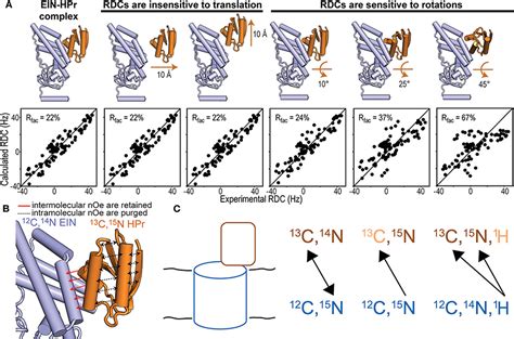 Frontiers NMR Methods For Structural Characterization Of Protein