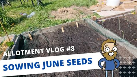 Allotment Vlog Sowing June Seeds Re Upload Youtube