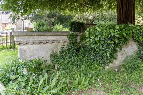 Cosenes Monument In Churchyard 5 Metres South South East Of South