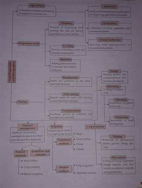 Draw A Mind Map On Crop Production And Management Brainly In