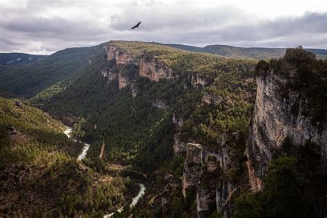 Protected Areas for People and Nature - The European Nature Trust