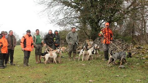 Concours De Meutes Sur La Voie Naturelle Du Sanglier Ladepeche Fr