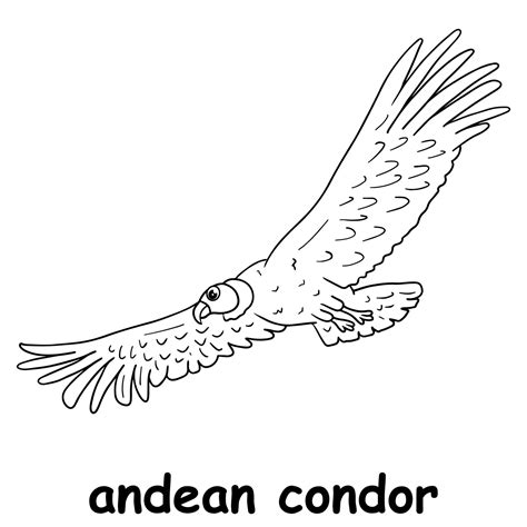 crianças linha ilustração colorir condor andino vetor de contorno para