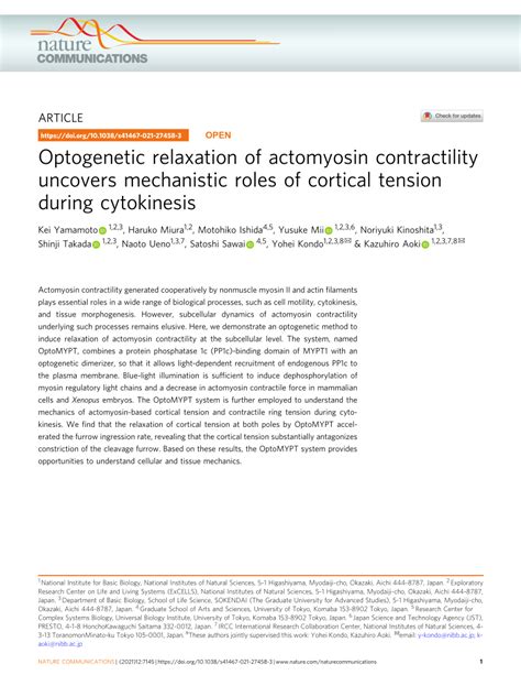 Pdf Optogenetic Relaxation Of Actomyosin Contractility Uncovers