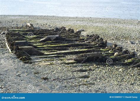 Boat shipwreck skeleton stock image. Image of remains - 61208937