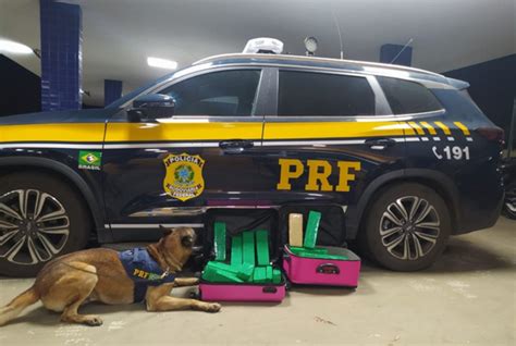 Jornal Correio Mulher Transporta Malas De Outra Pessoa E é Presa Com