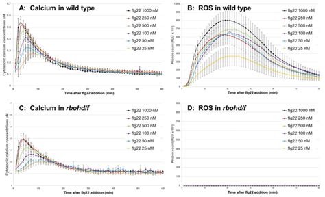 The Effect Of Apoplastic Ros Generated By Rbohs On Calcium Signaling A