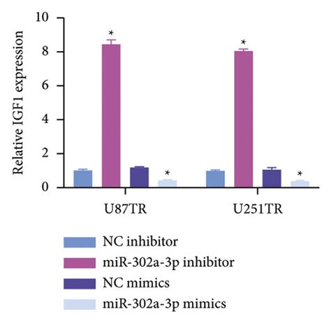 MiR 302a 3p Targets IGF1 And Thereby Reduces GBM Cell Resistance To