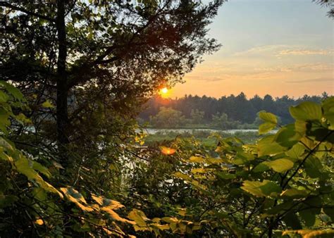Pinery Provincial Park Review And Camping Guide
