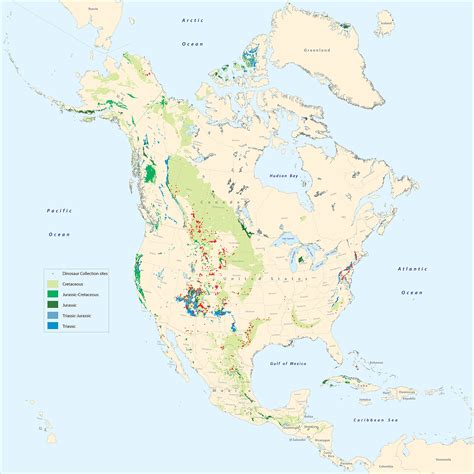 Beginners guide to fossil hunting - The Great Outdoors Stack Exchange