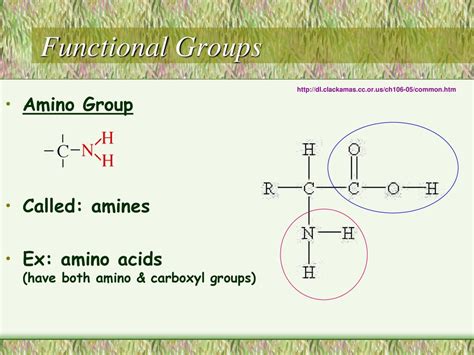 Happy Friday 9152017 Be Memorizing Your Functional Groups Ppt Download