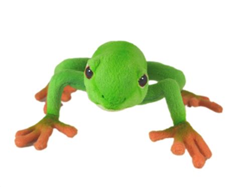 Buy Red Eyed Tree Frog 17cm Large Plush Toy Toys Sanity