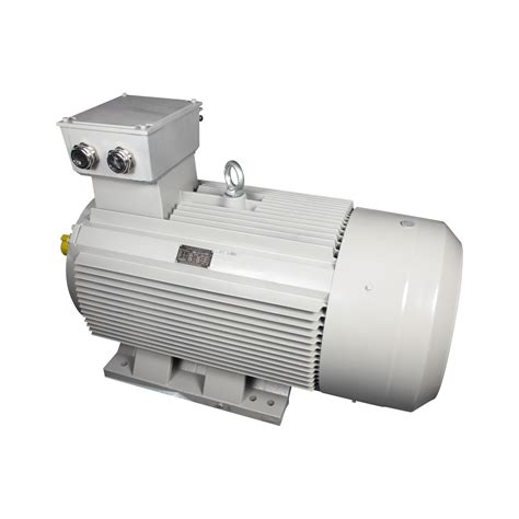 Three Phase Frequency Conversion Ac Permanent Magnet Synchronous Electric Motor Alternator And