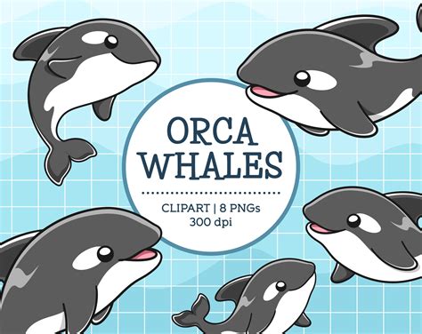 Cute Killer Whale Clip Art