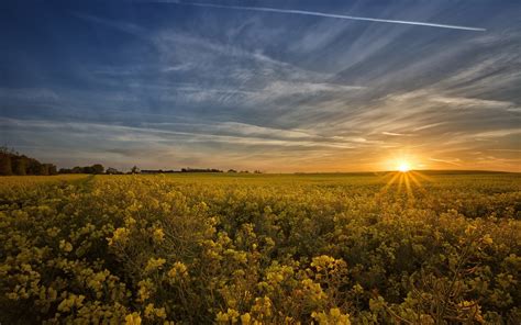 Sunlight Landscape Sunset Hill Nature Grass Sky Field Morning Farm Horizon Path