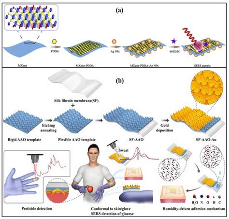 Biosensors Free Full Text Novel Wearable Optical Sensors For Vital