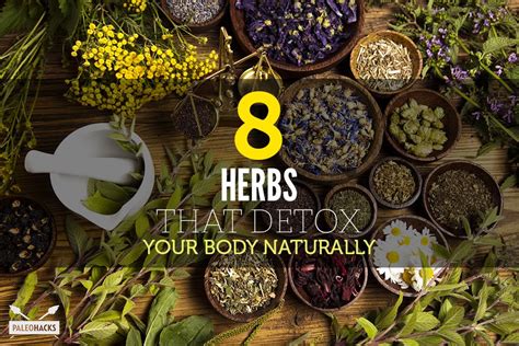 Herbs To Naturally Detox Your Body Detox Herbs Detox Your Body