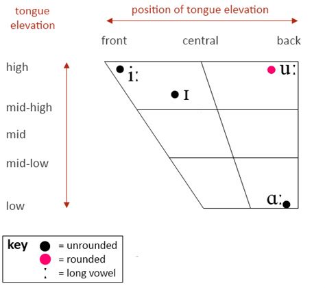 Charting Vowels Slt Info