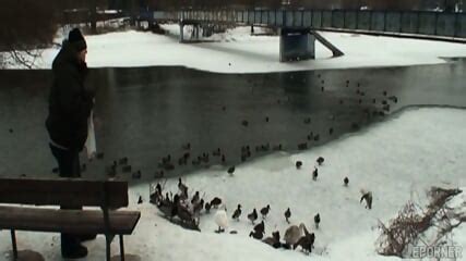 48383 Beautiful Blonde Hot Chick Rides Dick Lolita Mistress Tara Indiana Sonya