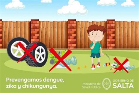 Recomendaciones Para Prevenir El Dengue Zika Y Chikungunya El