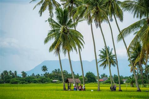 18 Attractions Of Kampung Agong Penang 2023 Archyde