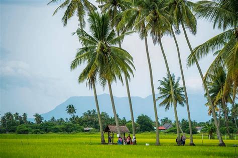 18 Tarikan Kampung Agong Penang 2025 Melancongmy