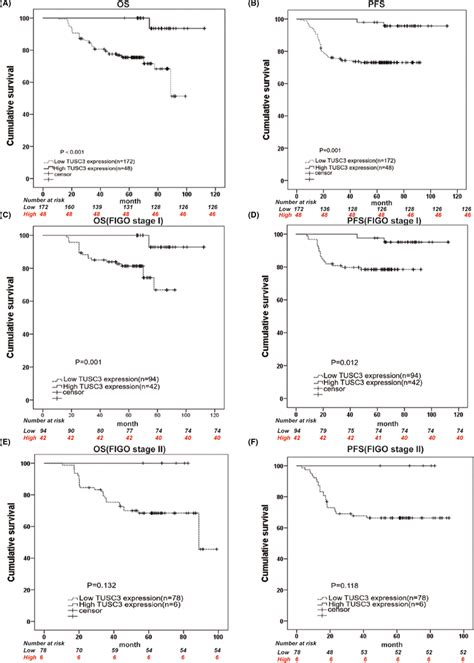 Level Of Tusc Protein Expression Affects The Progression Free