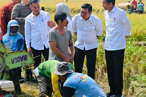 Hpp Gabah Dan Beras Resmi Ditetapkan Untuk Jaga Kepentingan Petani