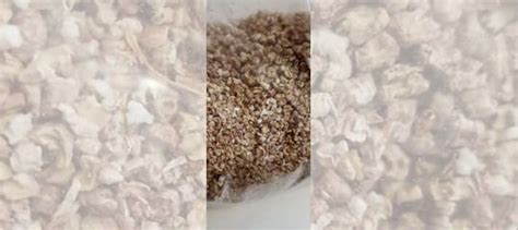Натуральный кукурузный наполнитель для грызунов купить в Краснодаре ...