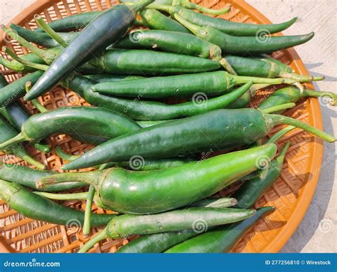 Green Chilli Chillies Chili Spicy Food Kashmiri Mirch Stock Photo