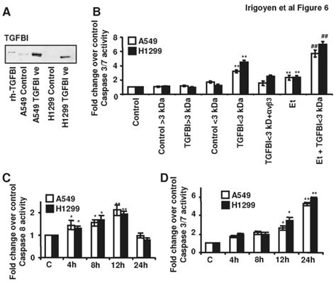 Peptides Derived From TGFBI Mediate NSCLC Cells Response To